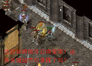 法师如何精准召唤宝宝?这些关键细节你掌握了吗? 法师如何精准召唤宝宝?这些关键细节你掌握了吗?