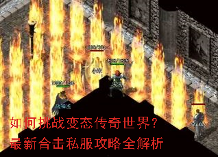 �����ս��̬�������磿���ºϻ�˽������ȫ����