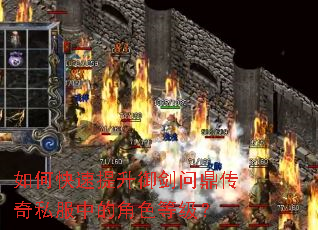 ��ο������������ʶ�����˽���еĽ�ɫ�ȼ���