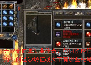 ��˫��Ѫ��ְҵ���棺��ο�������ս�����ʵ�ɳ����ս��������Щ�ؼ���