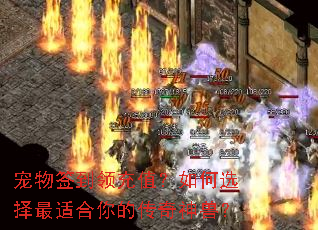 ����ǩ�����ֵ�����ѡ�����ʺ���Ĵ������ޣ�