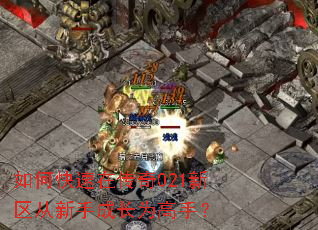 如何快速在传奇021新区从新手成长为高手? 如何快速在传奇021新区从新手成长为高手?