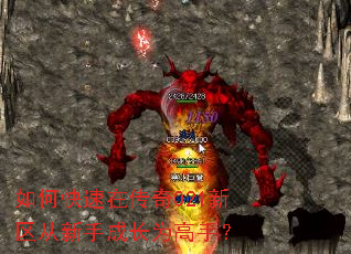 ��ο����ڴ���021���������ֳɳ�Ϊ���֣�