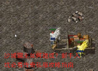 沙城霸主如何速成?新手入坑必看传奇私服攻略指南 沙城霸主如何速成?新手入坑必看传奇私服攻略指南