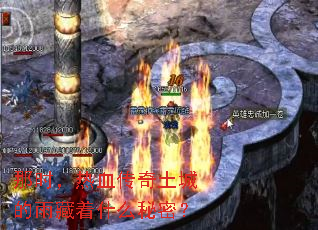 ��ʱ����Ѫ�������ǵ������ʲô���ܣ�