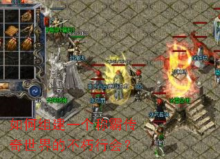 如何组建一个称霸传奇世界的不朽行会? 如何组建一个称霸传奇世界的不朽行会?