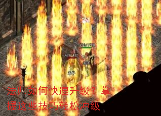 ��ʦ��ο���������������Щ�������ɳ弶