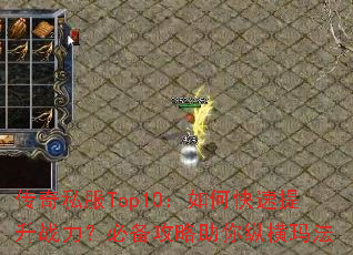 ����˽��Top10����ο�������ս�����ر����������ݺ��귨