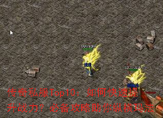 ����˽��Top10����ο�������ս�����ر����������ݺ��귨