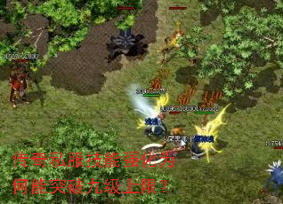 ����˽������ǿ��Ϊ����ͻ�ƾż����ޣ�