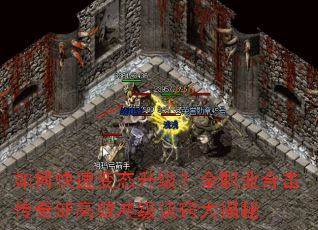 ��ο��ٱ�̬������ȫְҵ�ϻ�����SF��Ч�弶���ϴ����