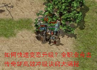 ��ο��ٱ�̬������ȫְҵ�ϻ�����SF��Ч�弶���ϴ����