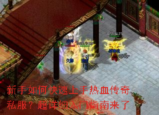 ������ο���������Ѫ����˽��������ϸ����ָ������