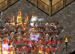 ������ο���������Ѫ����˽��������ϸ����ָ������