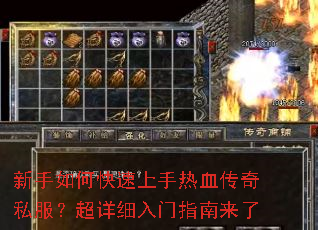 ������ο���������Ѫ����˽��������ϸ����ָ������