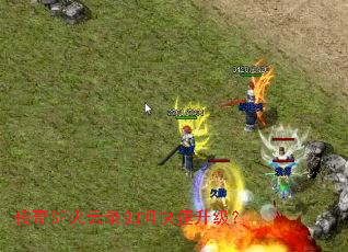 ����SF����¼��ο���������