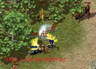 ����SF����¼��ο���������