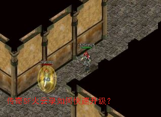 ����SF����¼��ο���������