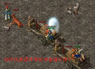 ��ο��������ȼ�������а�