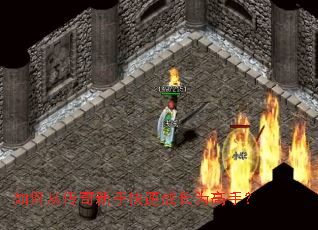 ��δӴ������ֿ��ٳɳ�Ϊ���֣�