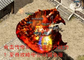 �ϻ�������ο�������ս���������Դ����ư�ȫ��