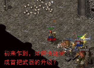 ����է������ο�������װ�������������