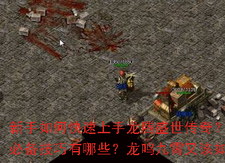 ������ο�����������ʢ�����棿�ƾ�ն���ر���������Щ�����������ָ���δ�ɣ�