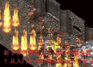 ������ο�������sf666Ӣ�ۺϻ��������ŵ����׵ĸ�Чս������ָ��