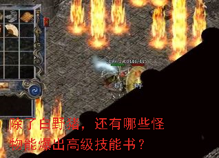 除了白野猪,还有哪些怪物能爆出高级技能书? 除了白野猪,还有哪些怪物能爆出高级技能书?