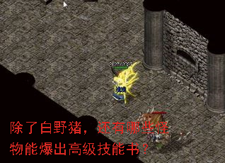 除了白野猪,还有哪些怪物能爆出高级技能书? 除了白野猪,还有哪些怪物能爆出高级技能书?