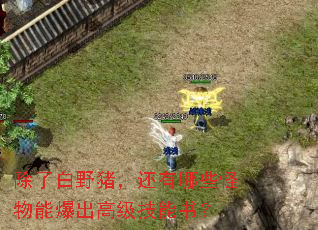 除了白野猪,还有哪些怪物能爆出高级技能书? 除了白野猪,还有哪些怪物能爆出高级技能书?