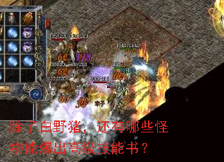 ���˰�Ұ����������Щ�����ܱ����߼������飿