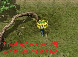 ��γ�Ϊ����˽��ɳ�ǰ������ռ���ս����ȫ����