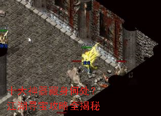 ʮ�����������δ�������Ѱ������ȫ����