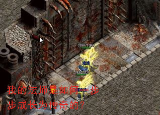 �ҵķ�ʦ�����һ�����ɳ�Ϊ����ģ�