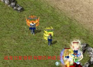 ս�輼�ܻ�ȡ��������;����