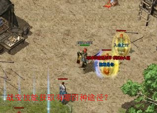 ս�輼�ܻ�ȡ��������;����