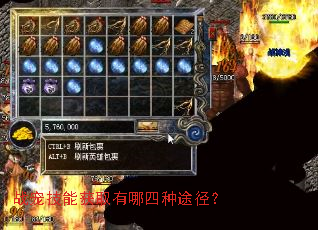 ս�輼�ܻ�ȡ��������;����