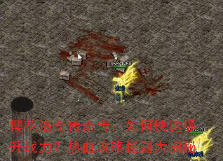 樱花洛奇传奇传:如何快速提升战力?热血攻略秘籍大揭秘 樱花洛奇传奇传:如何快速提升战力?热血攻略秘籍大揭秘