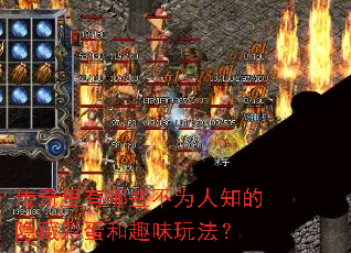 ����������Щ��Ϊ��֪�����زʵ���Ȥζ�淨��