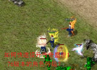 ��ο�����������ʢ��1.76�汾�Ľ�ɫ�ȼ���