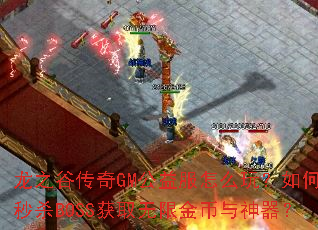 ��֮�ȴ���GM�������ô�棿�����ɱBOSS��ȡ���޽����������