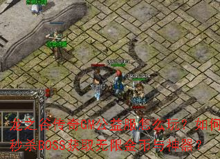 ��֮�ȴ���GM�������ô�棿�����ɱBOSS��ȡ���޽����������