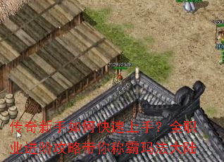 ����������ο������֣�ȫְҵ���׹��Դ���ư��귨��½