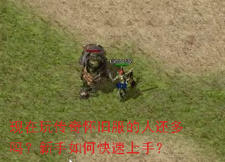 �����洫�滳�ɷ����˻�����������ο������֣�