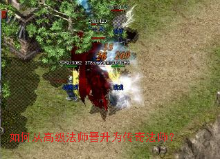 ��δӸ߼���ʦ����Ϊ���淨ʦ��