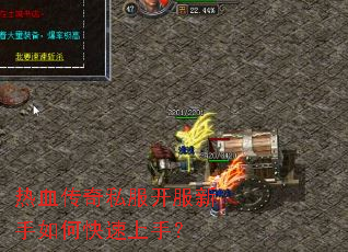 ��Ѫ����˽������������ο������֣�