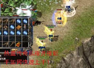 ��Ѫ����˽������������ο������֣�