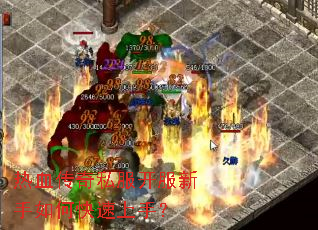 ��Ѫ����˽������������ο������֣�