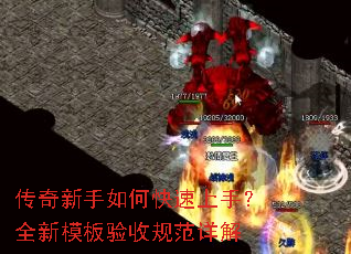 ����������ο������֣�ȫ��ģ�����չ淶���